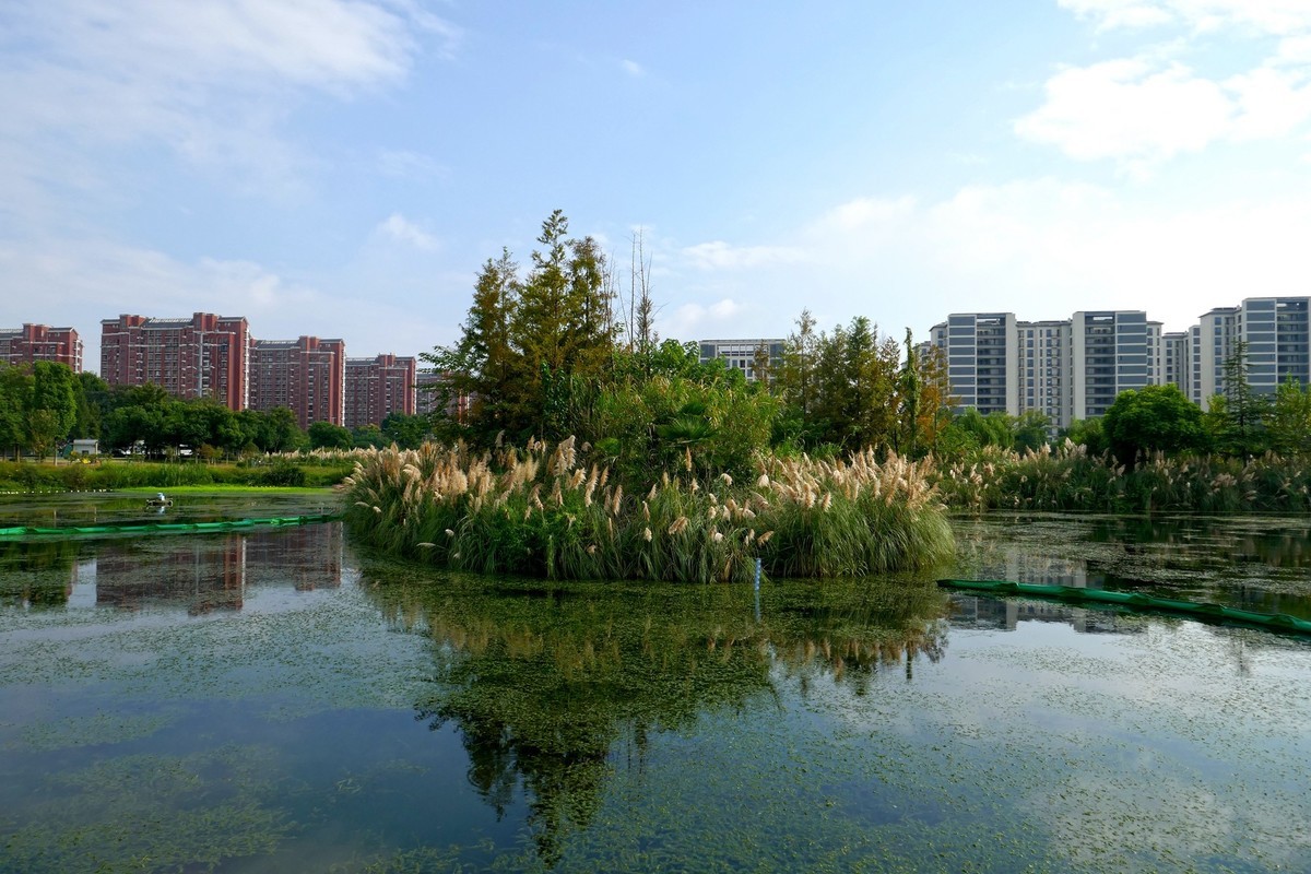 湿地秋拍（续）