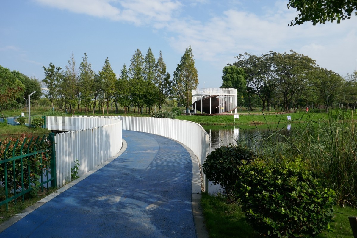 湿地秋拍（续）