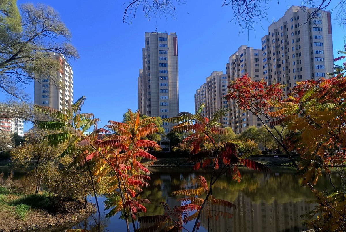 阳明公园秋色（2）