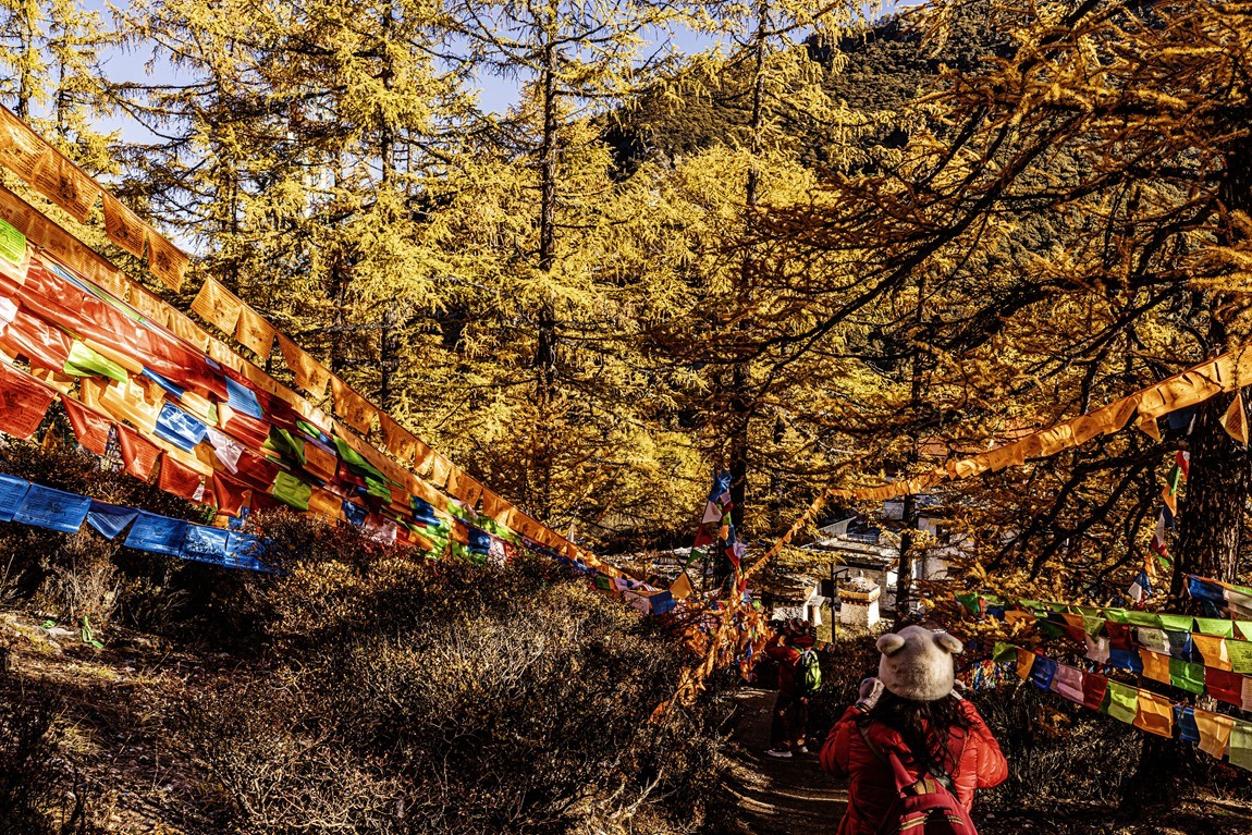 仙乃日--稻城亚丁三神山之首【4】冲古寺