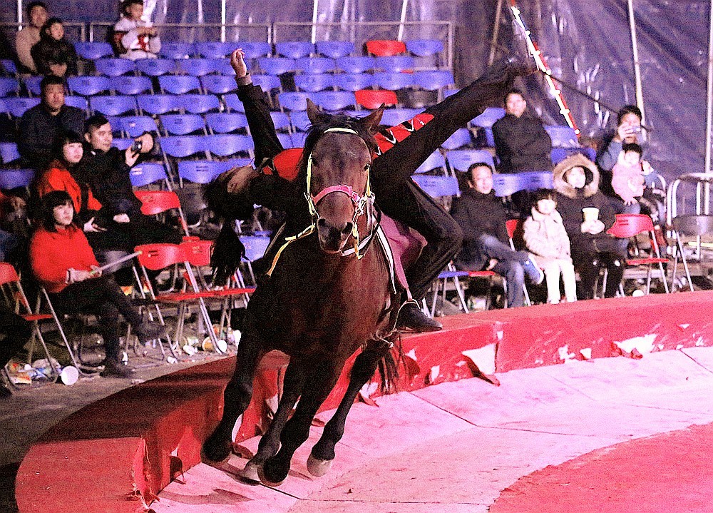 《不老松：纪实摄影》马术！