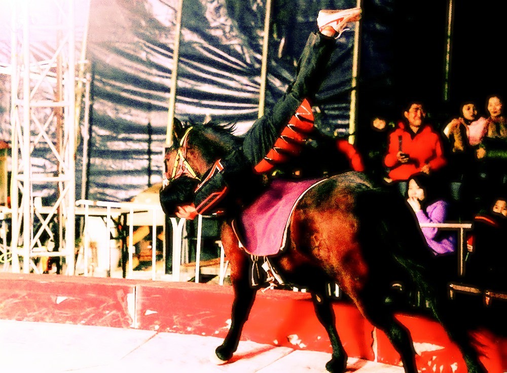 《不老松：纪实摄影》马术！