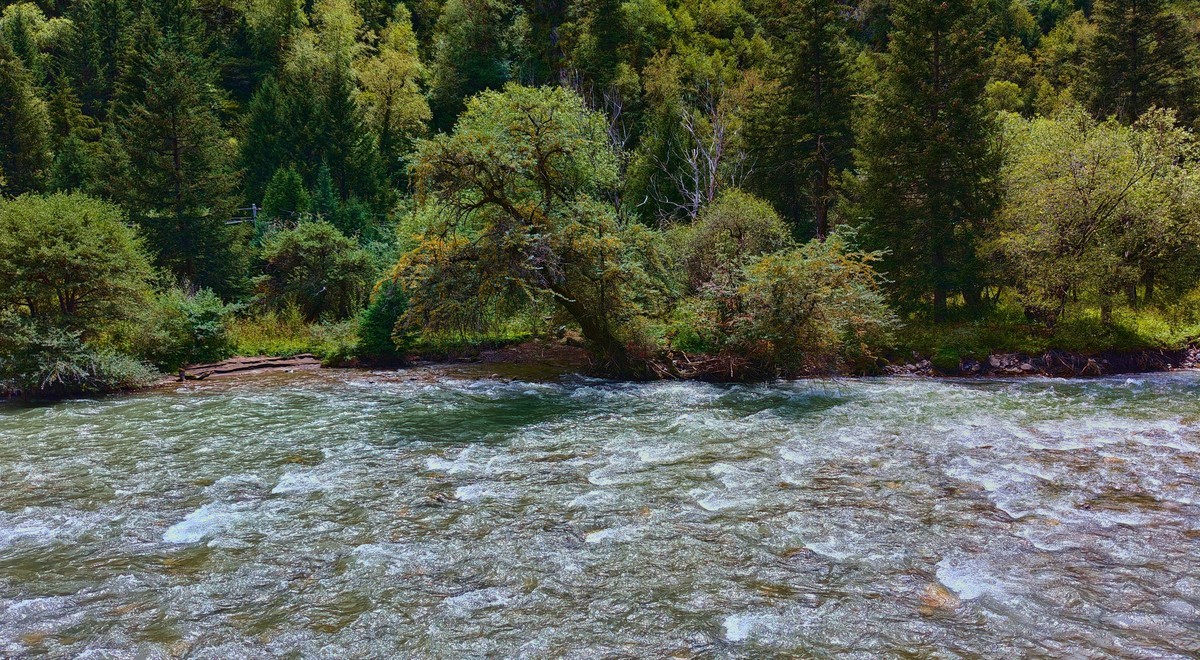 摄影基地新都桥随拍-川西