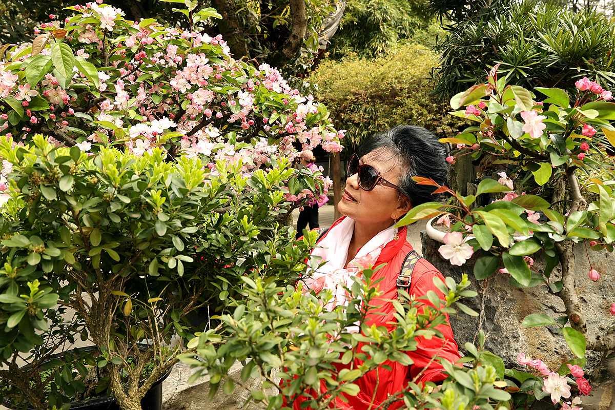 老婆婆逛成都罨画池