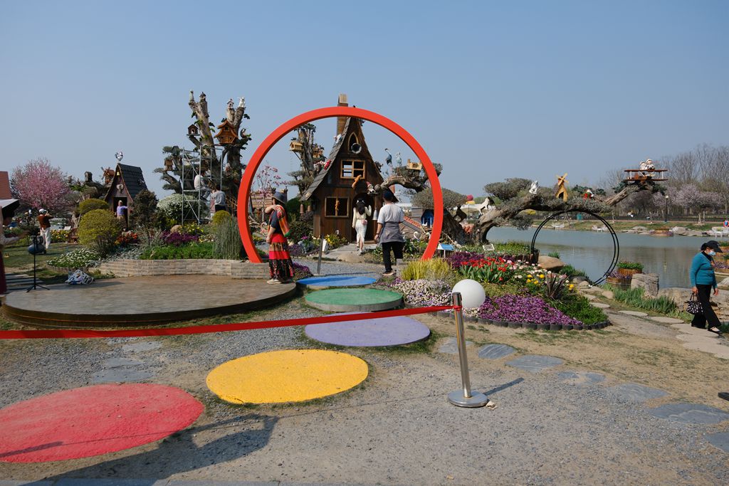 荷兰花海郁金香