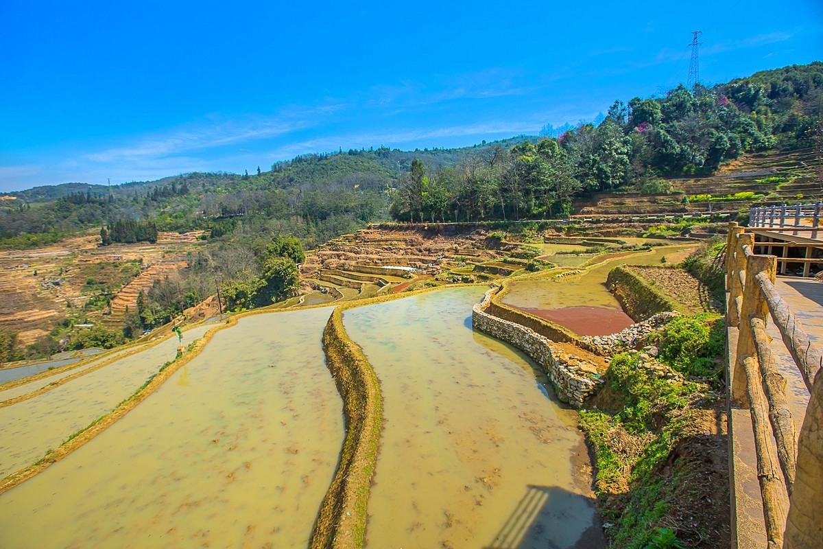 2025-04-25云南元阳哈尼梯田（一）