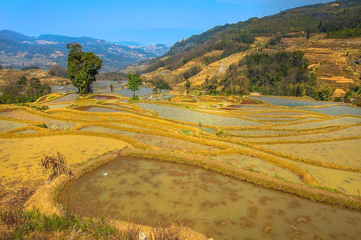 2025-04-25云南元阳哈尼梯田（一）