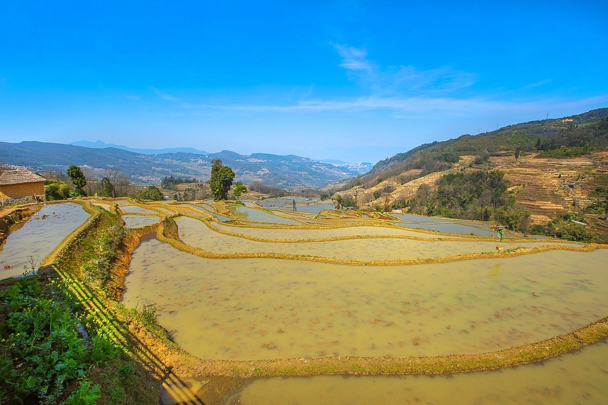 2025-04-25云南元阳哈尼梯田（一）