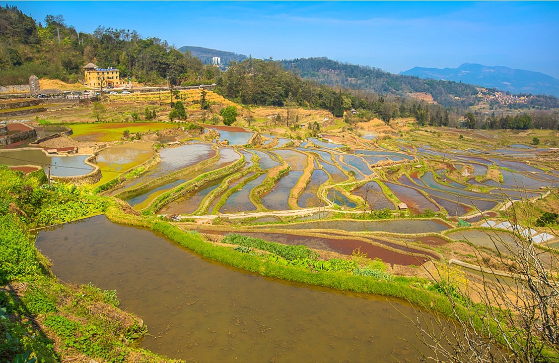 2025-04-25云南元阳哈尼梯田（一）