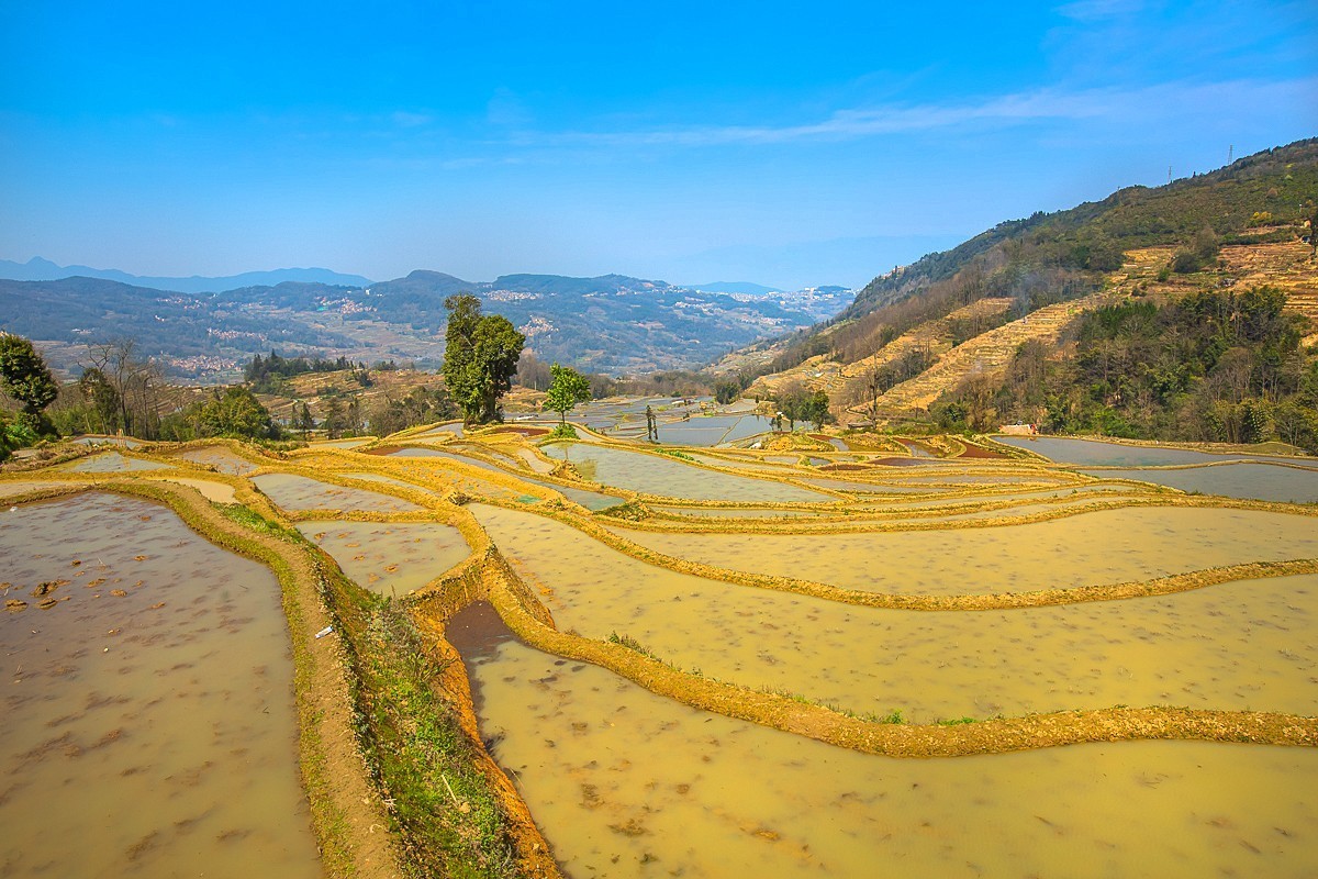 2025-04-25云南元阳哈尼梯田（一）