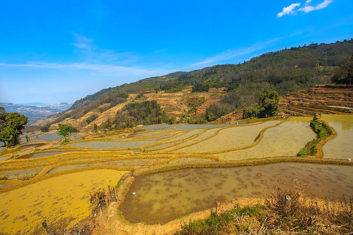 2025-04-25云南元阳哈尼梯田（一）