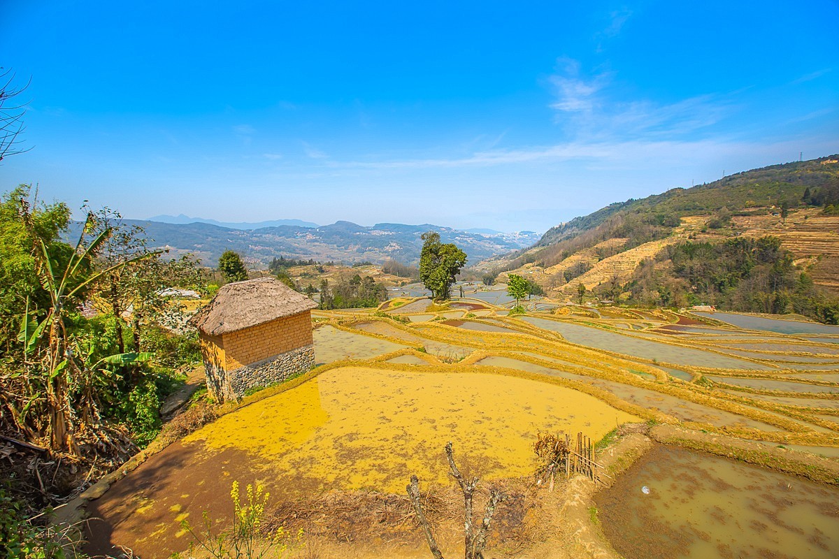 2025-04-25云南元阳哈尼梯田（一）