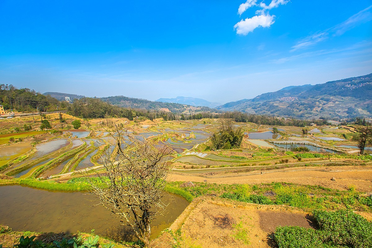 2025-04-25云南元阳哈尼梯田（一）