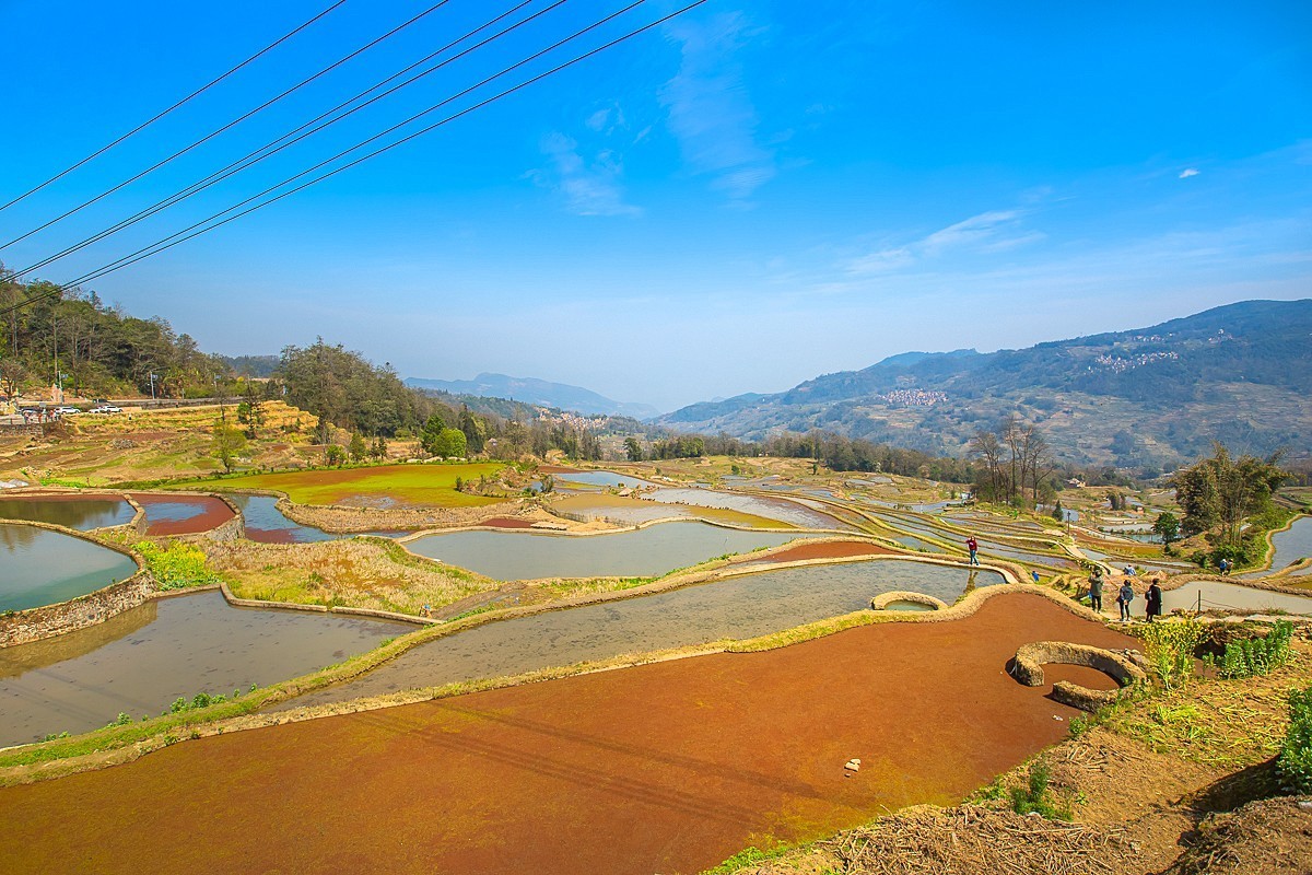 2025-04-25云南元阳哈尼梯田（一）