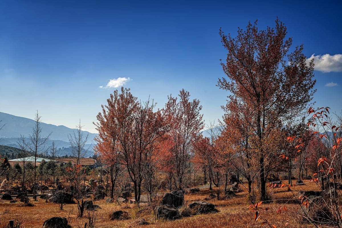 云南腾冲 · 火山景区