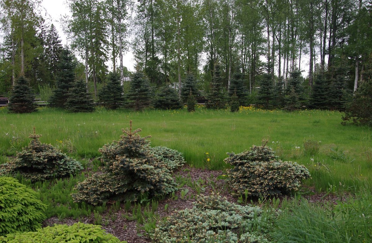 圣彼得堡拉多加湖畔的纪念碑