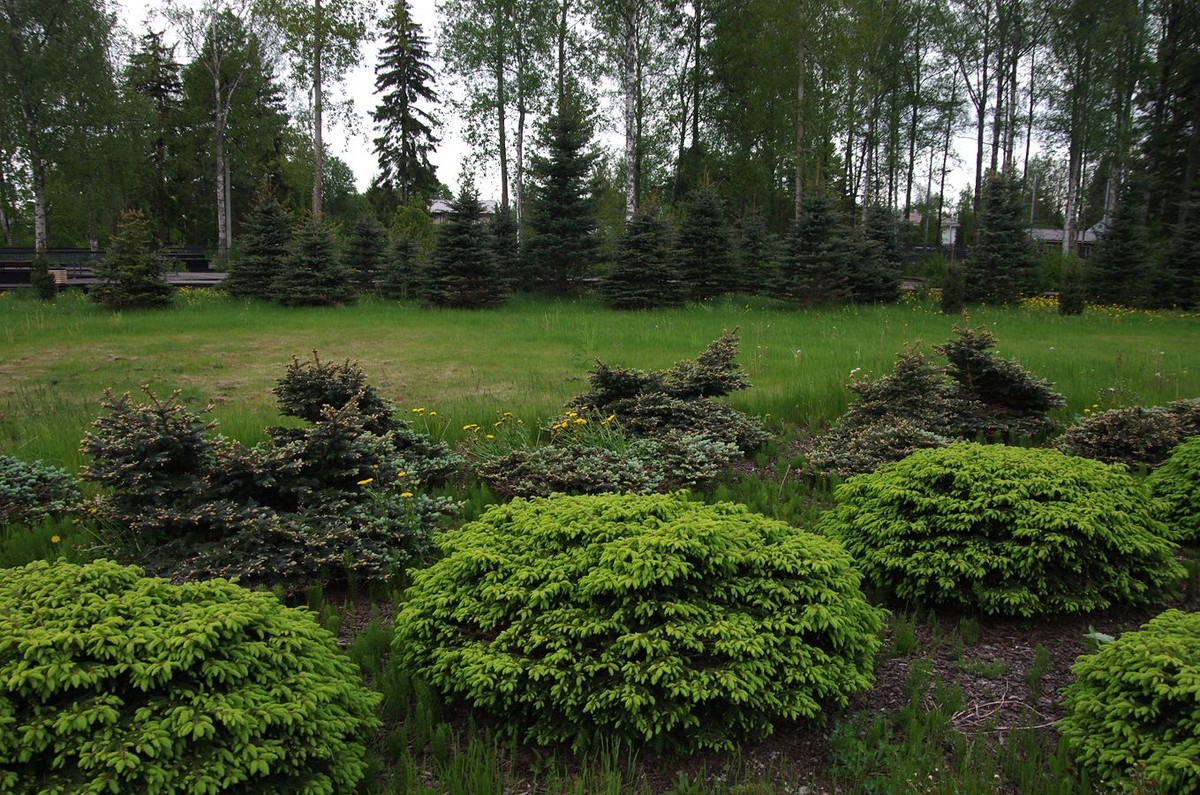 圣彼得堡拉多加湖畔的纪念碑