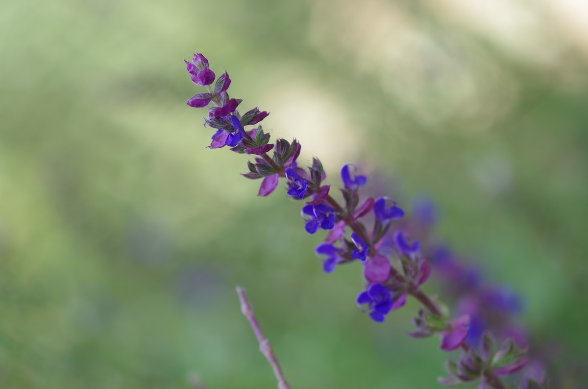 工业线扫镜头改装镜头试拍