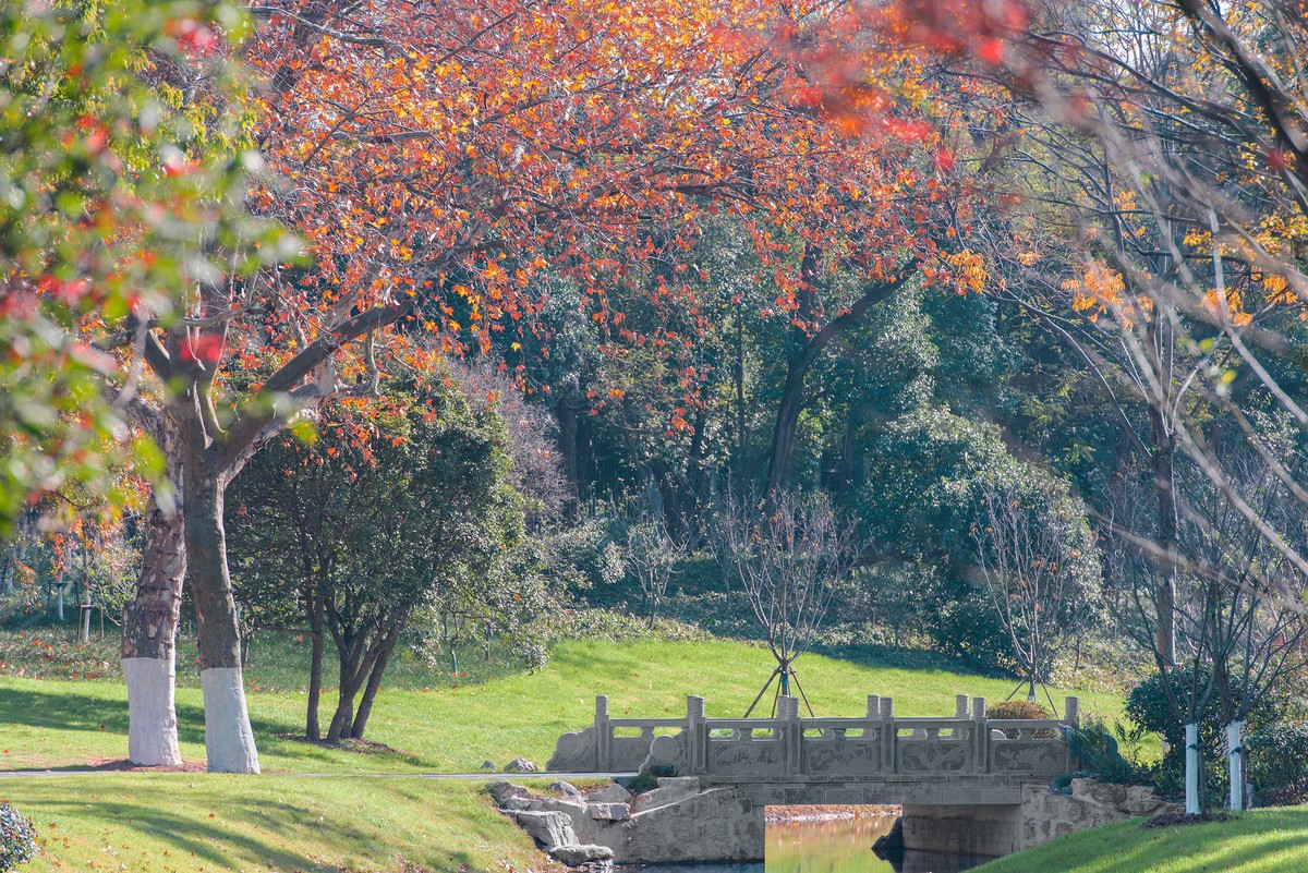 秋色渐浓(公园里的秋天）