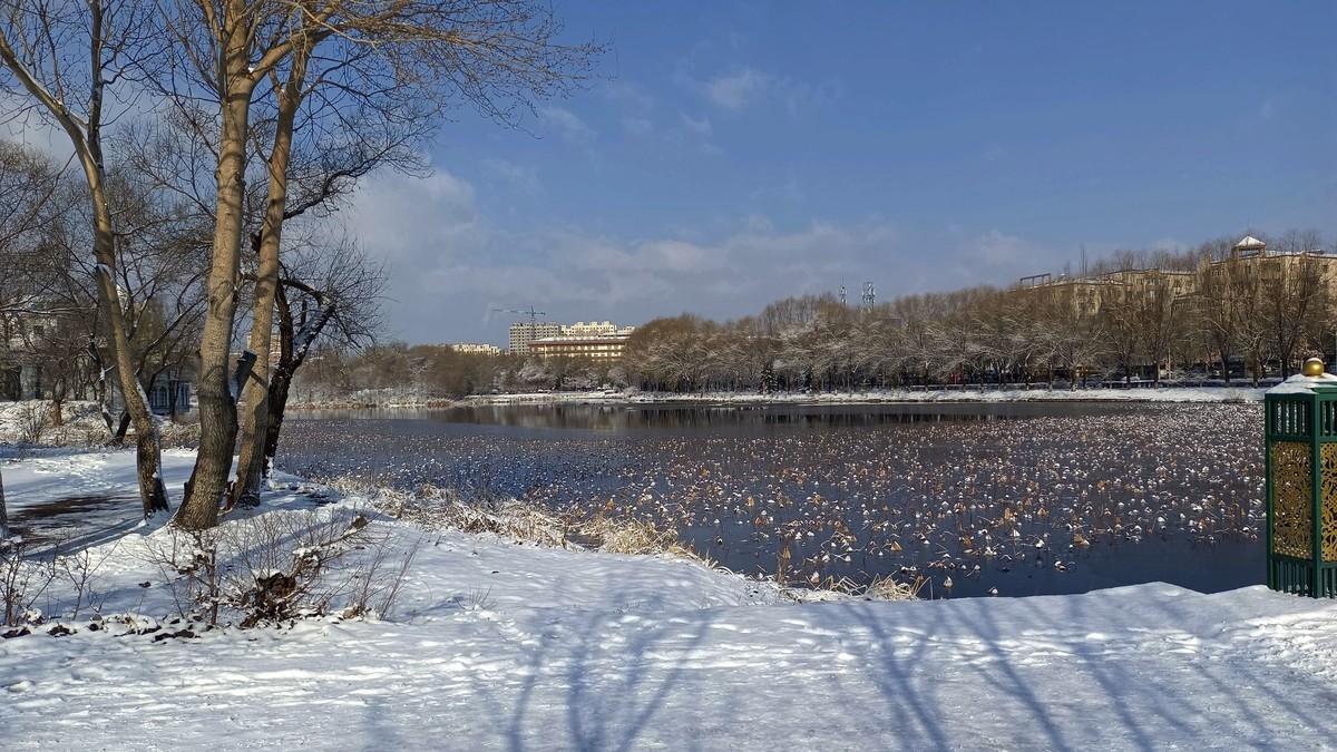 手机拍照人民公园雪景2