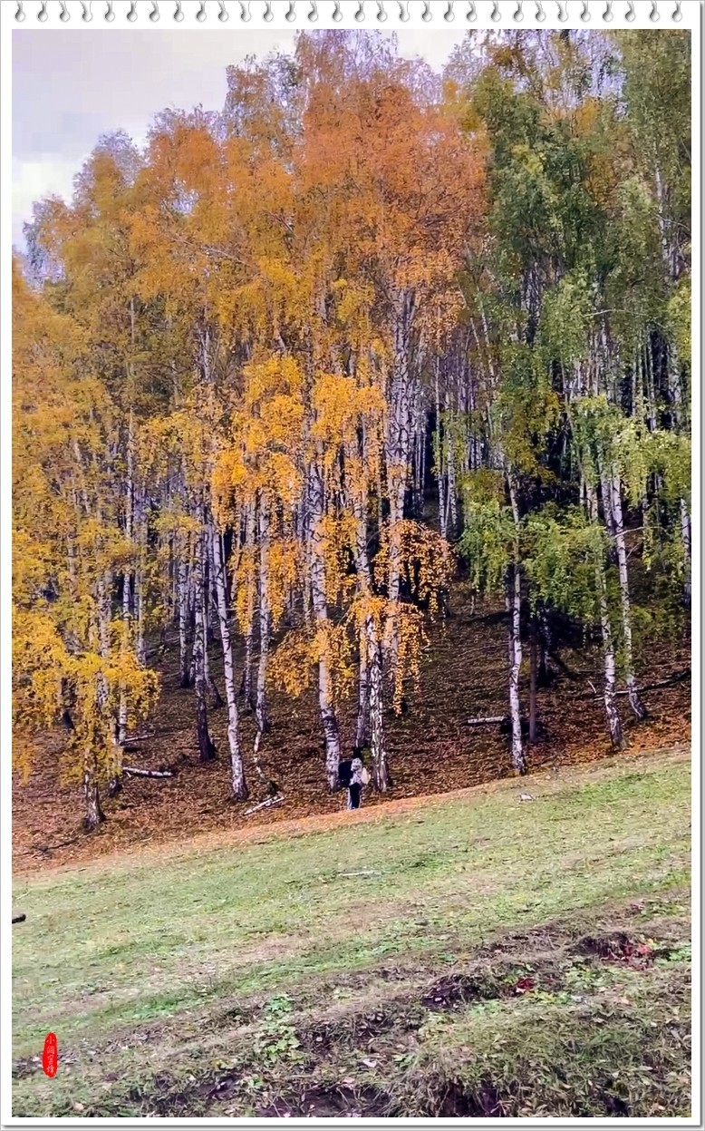 2023年-新疆风光纪实抓拍-955