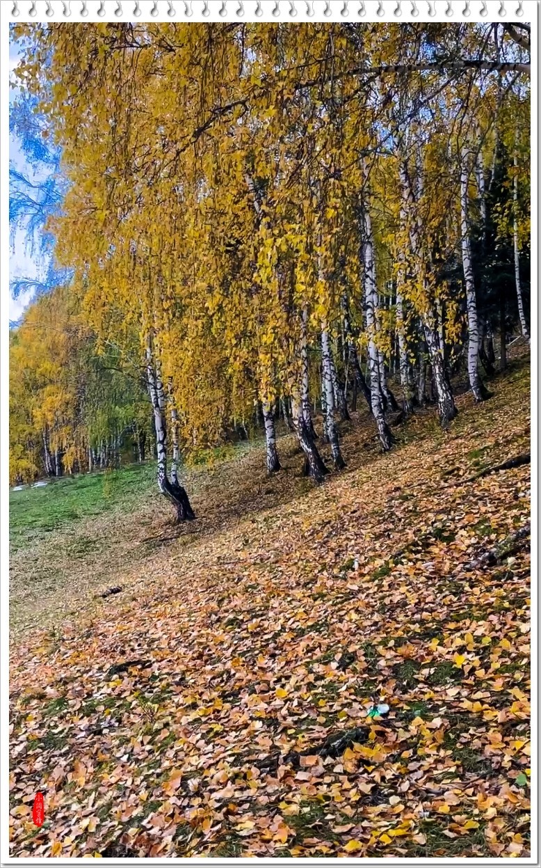 2023年-新疆风光纪实抓拍-955