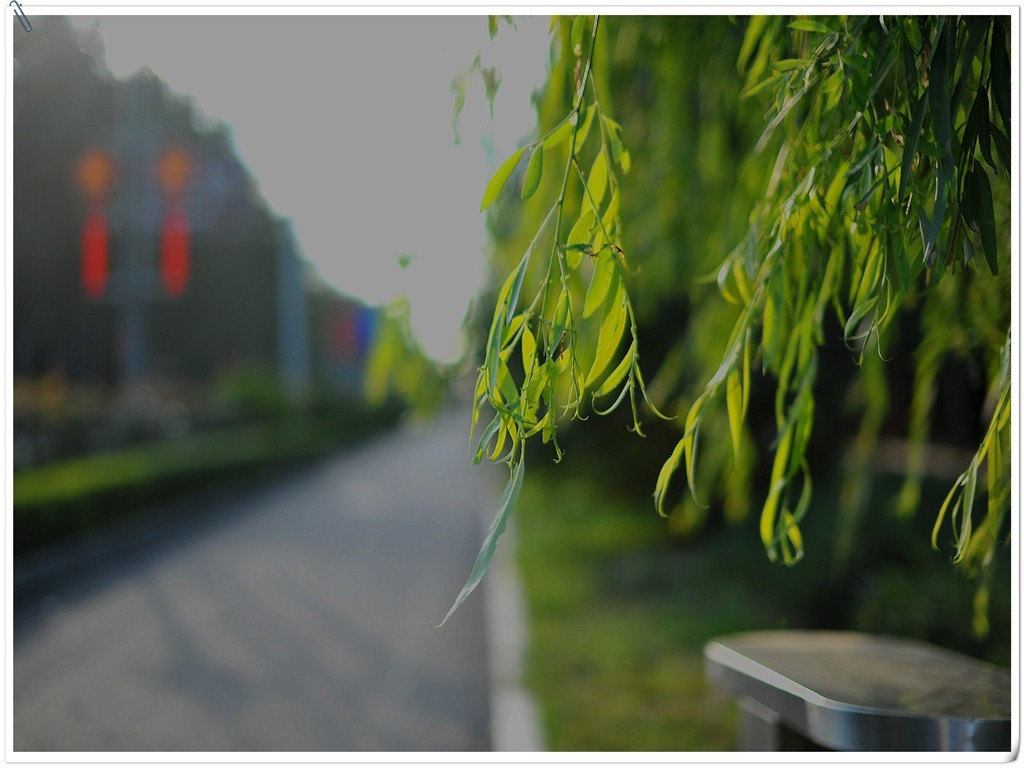 适马50-1.4二代镜头