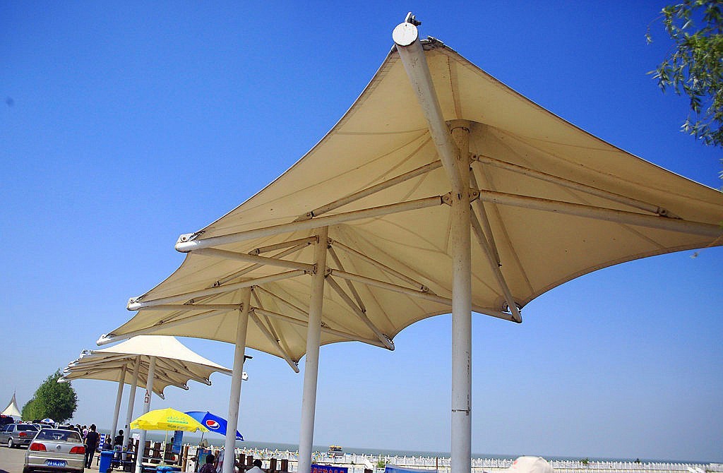 《不老松：纪实摄影》驰骋呼伦贝尔：很多人都知道查干湖冬天一网能打上几十万斤鱼！因