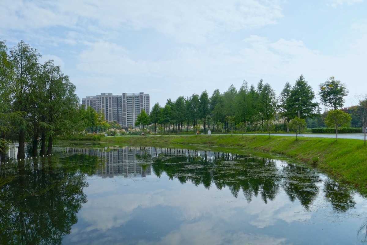 湿地秋拍（续）