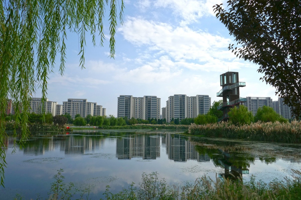 湿地秋拍（续）