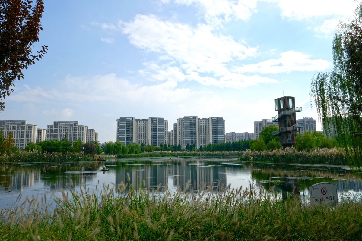 湿地秋拍（续）