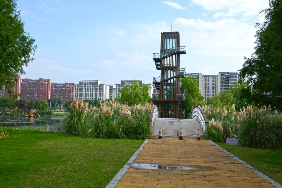 湿地秋拍（续）