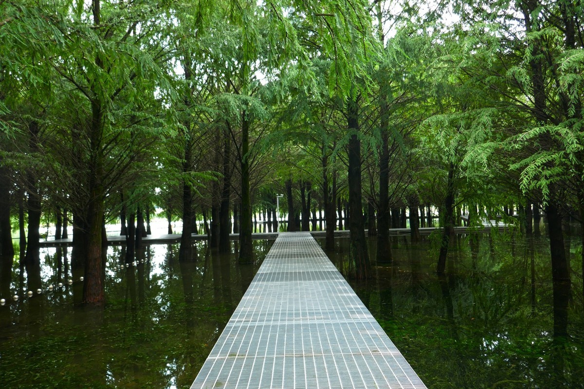 湿地秋拍（续）
