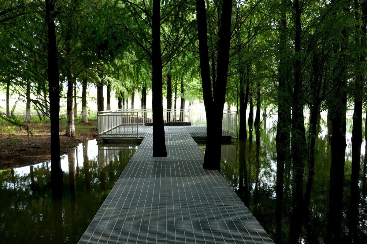 湿地秋拍（续）