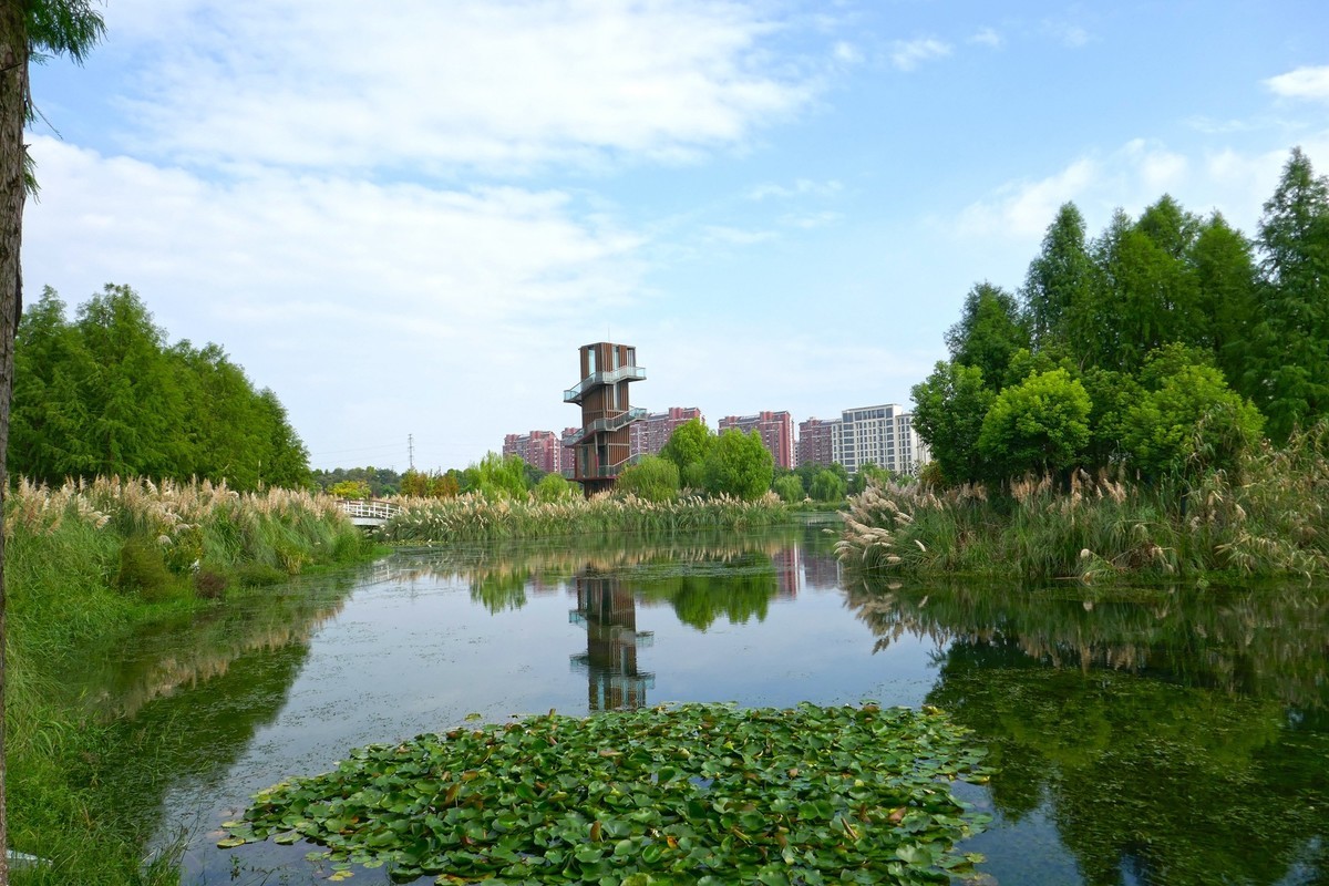 湿地秋拍（续）