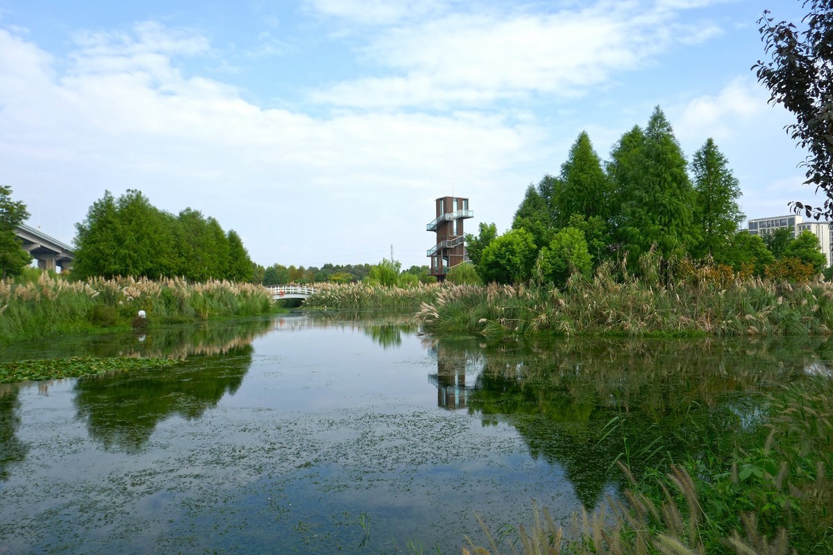 湿地秋拍（续）