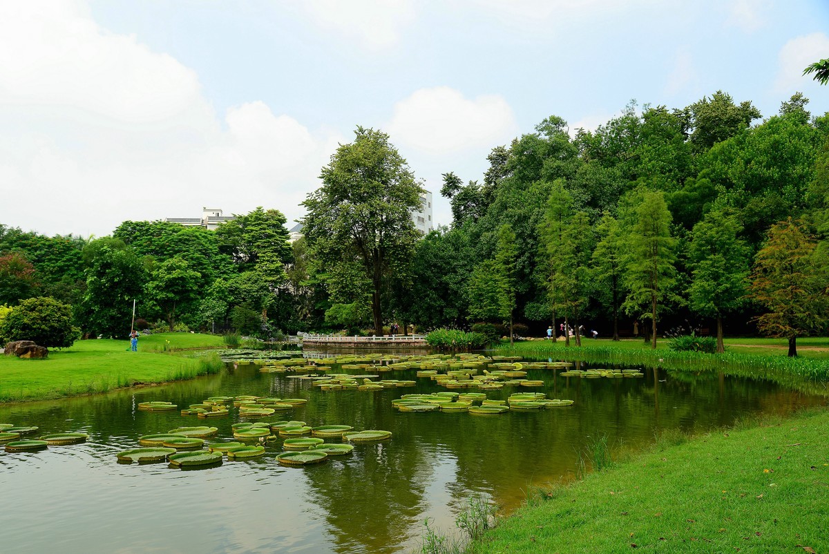 华南植物园。