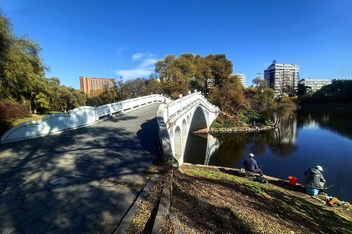 阳明公园秋色（2）