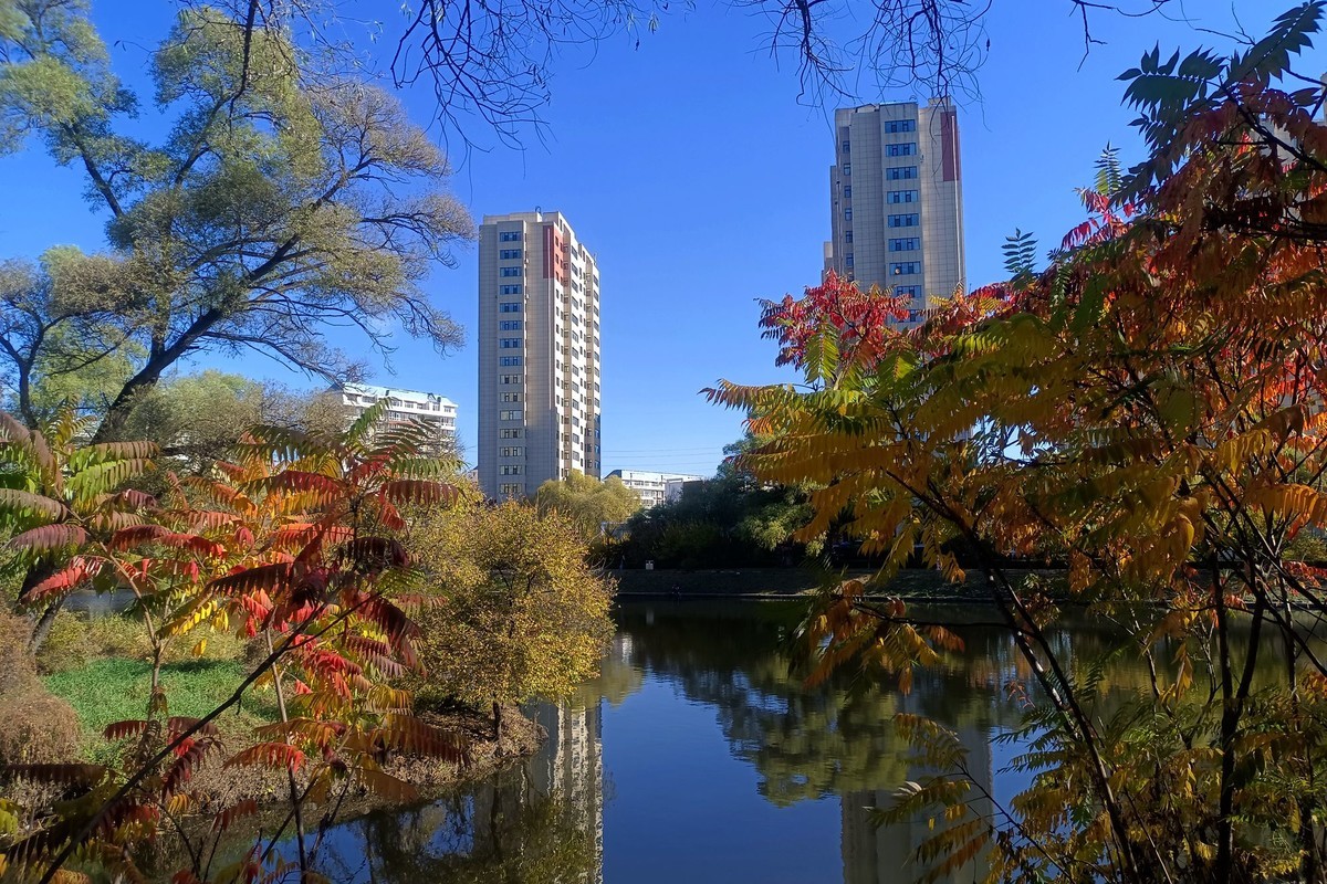 阳明公园秋色（2）