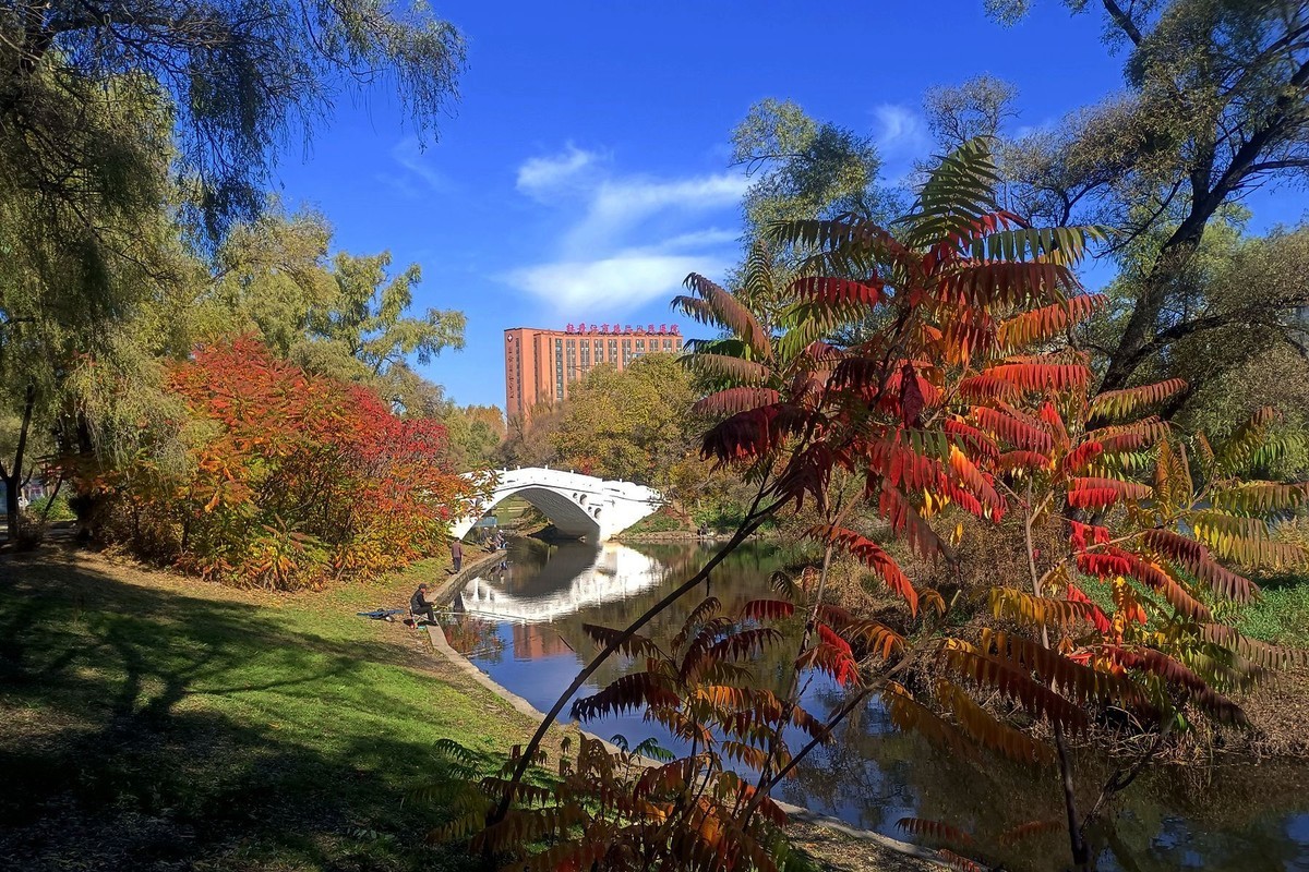 阳明公园秋色（2）