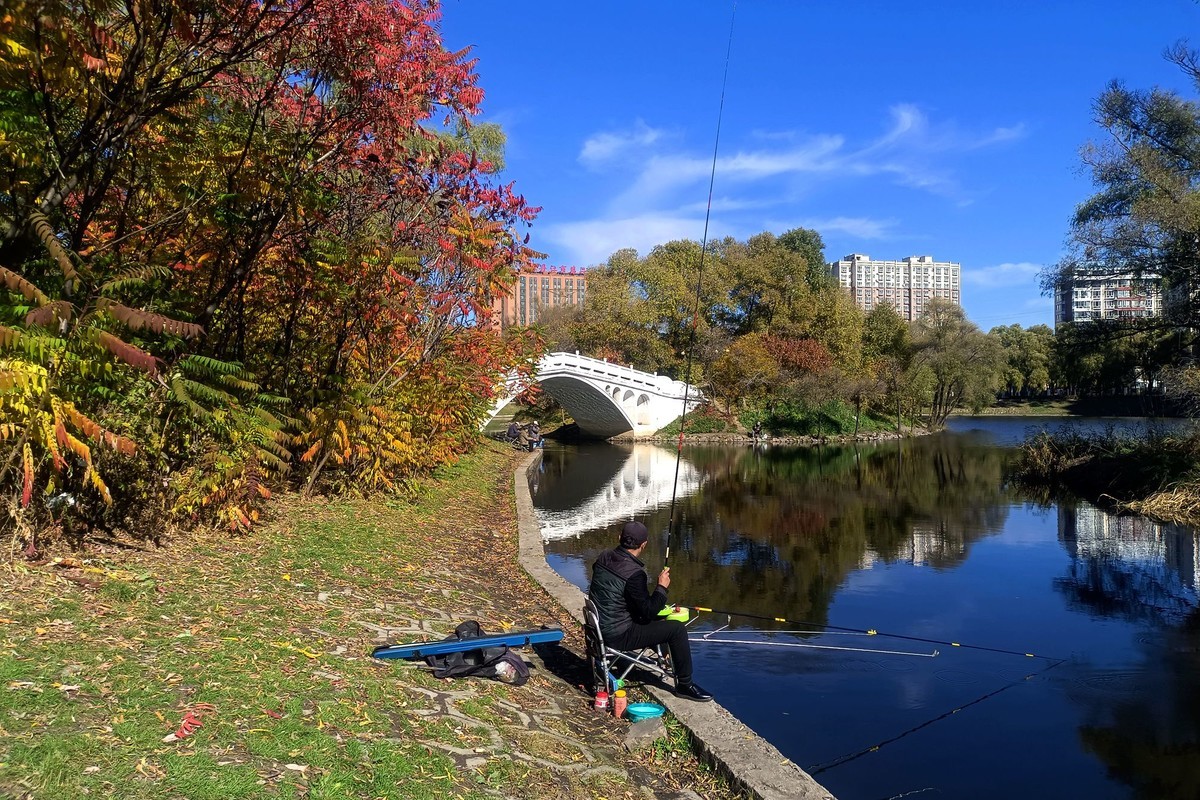 阳明公园秋色（2）