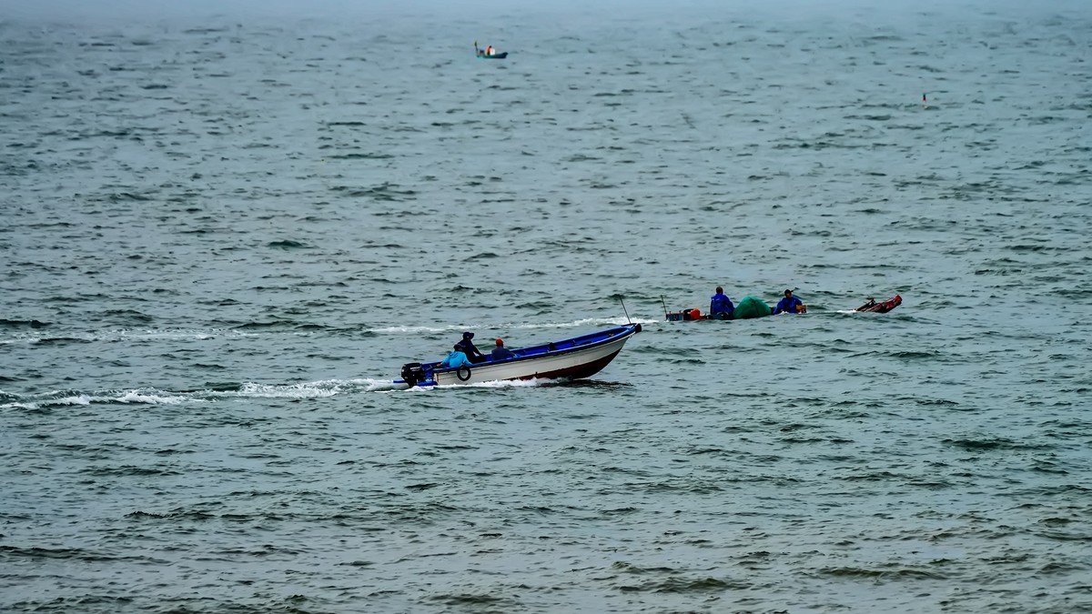 向海讨生