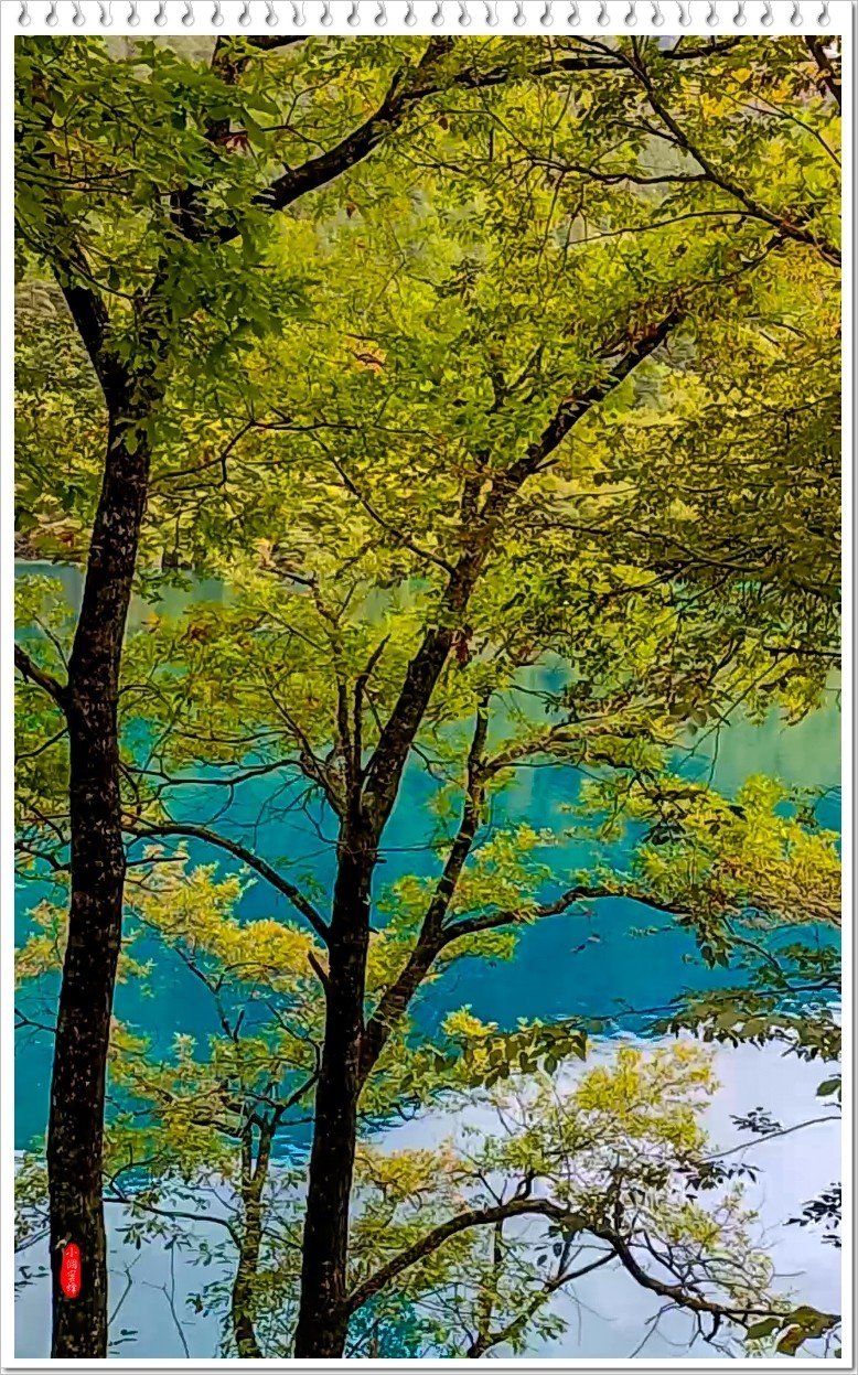 2022年九寨沟云拍-72