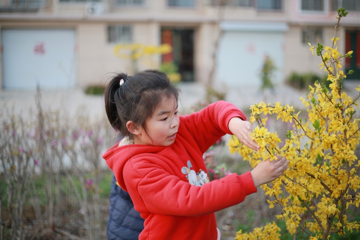 摄影初学，周末春游留念，美好回忆