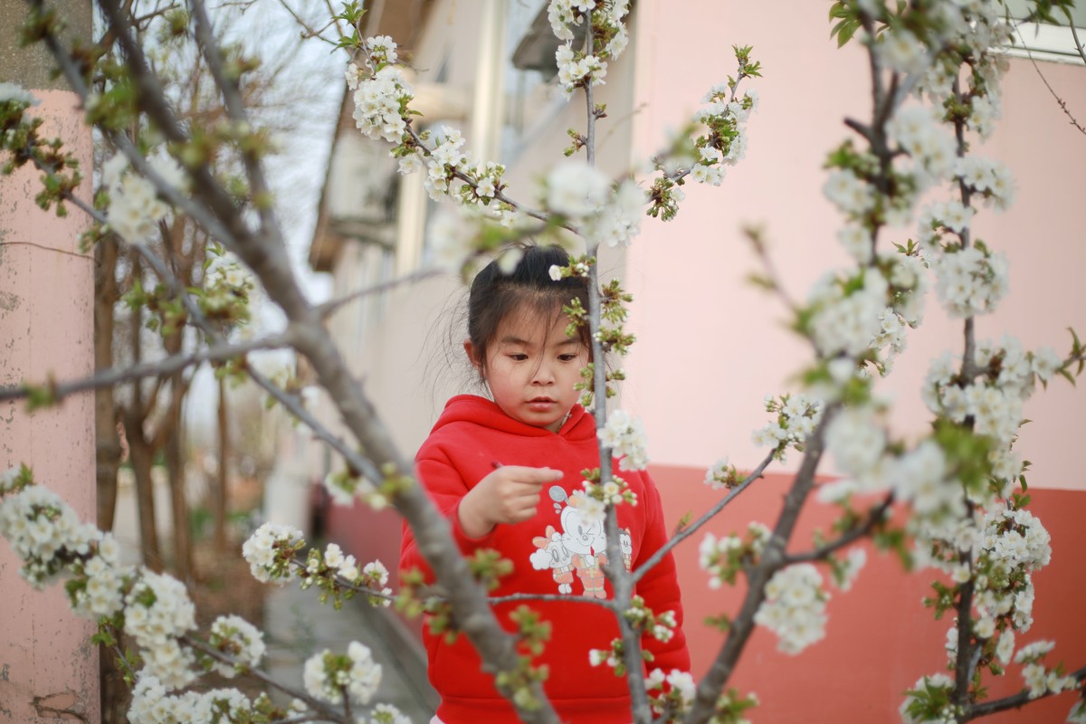 摄影初学，周末春游留念，美好回忆