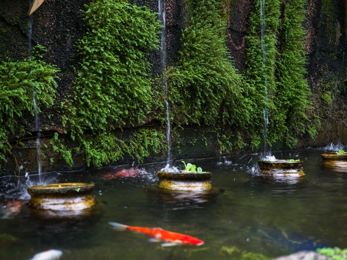 哈苏 X1Dii+XCD21+65 ( 深圳蛇口随拍 )