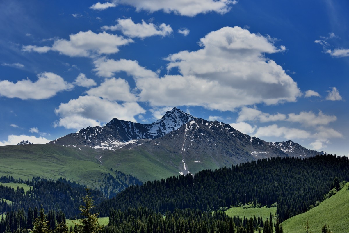 尼康D5100星空(中国)2023年十一月份优秀作品精选汇总