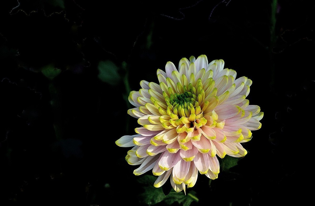 尼康D5100星空(中国)2023年十一月份优秀作品精选汇总