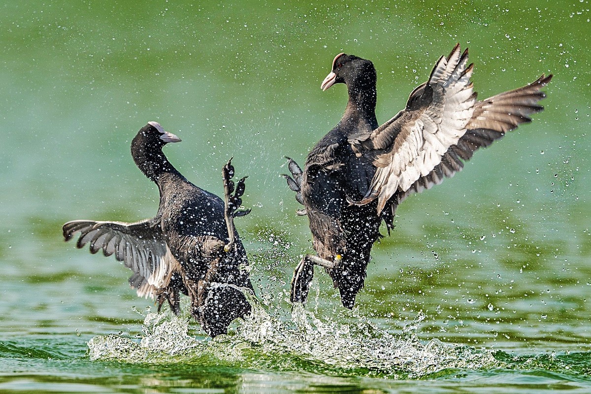 生命不息，战斗不止！