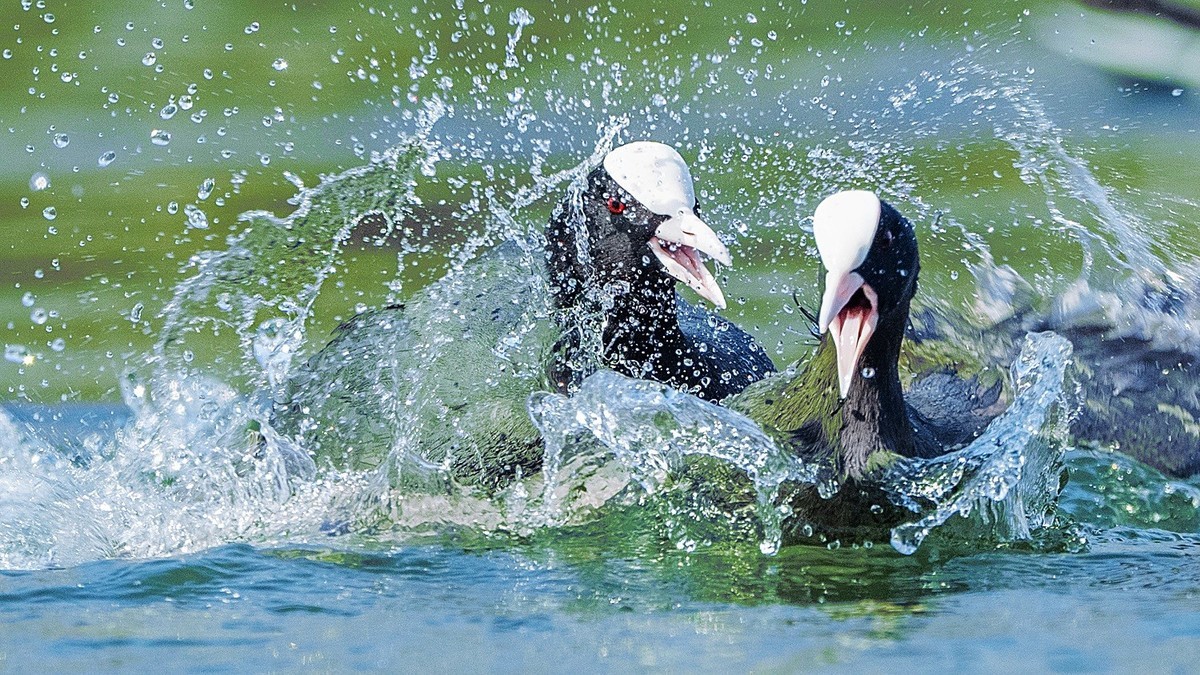 生命不息，战斗不止！